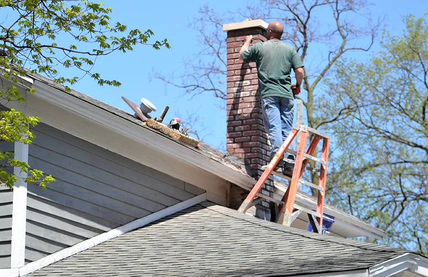 Chimney & Fireplace Inspections Services in Kingstowne, VA